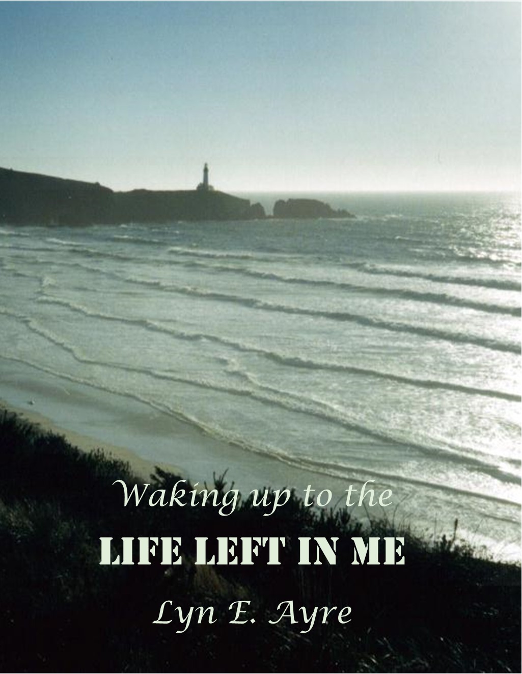 Book cover of Waking Up to the Life Left in Me