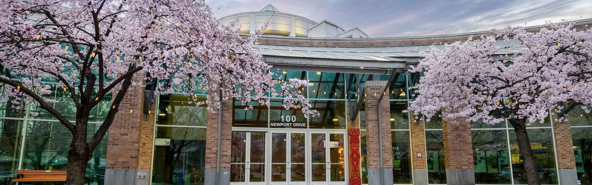 Exterior of the Port Moody Civic Centre with cherry blossoms